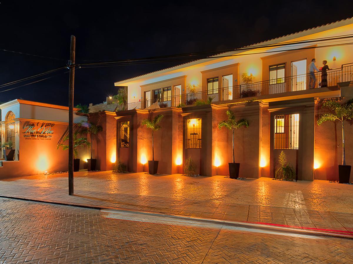 The Vibe Boutique Bed & Breakfast (Adults Only) Todos Santos Exterior foto